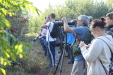Miniatura IMG_8246.JPG 